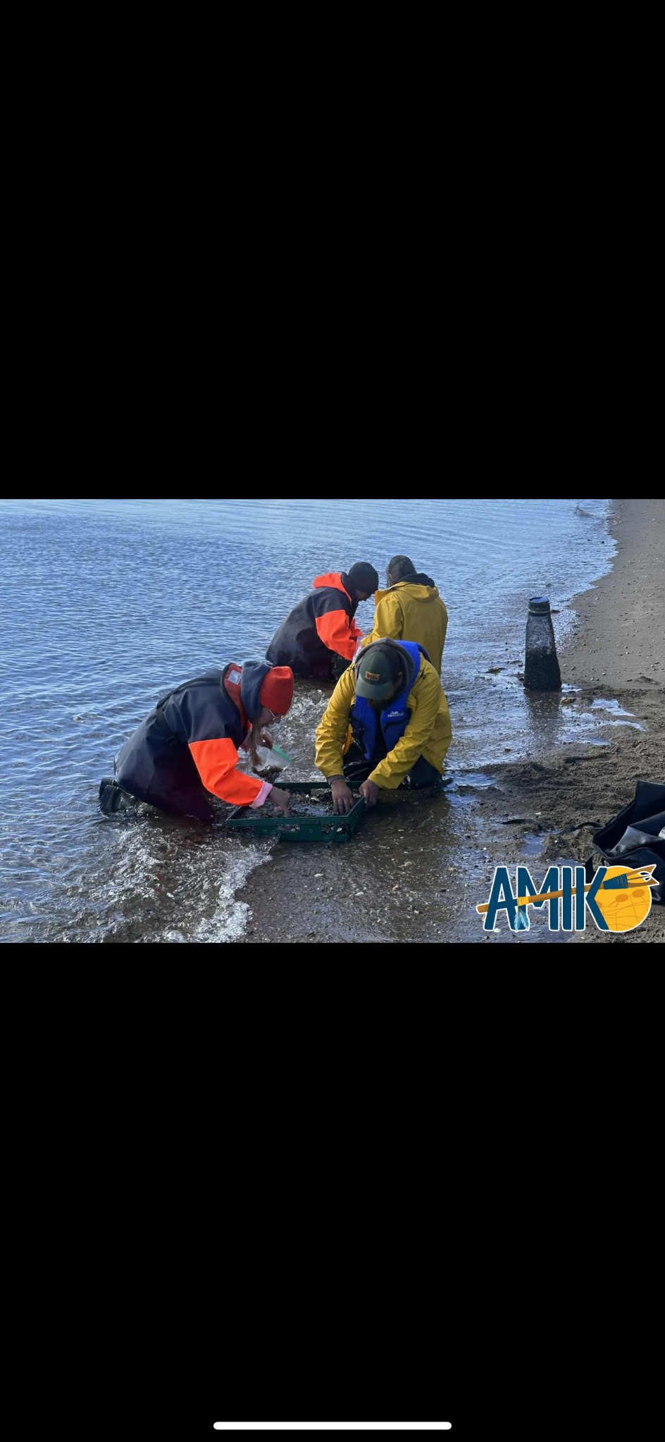 42d11b4b-27ca-4ebf-8c77-115dc7ab6568